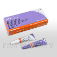 AH Plus - 2 pastes of 4 g, Dentsply