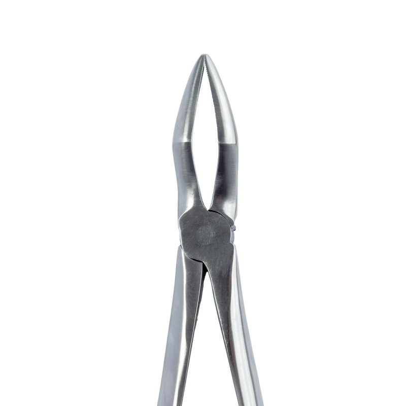 Root removal forceps MR-022, 1 pc.