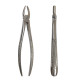 Tooth extraction forceps MR-002, 1 pc.