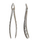 Tooth extraction forceps MR-047, 1 pc.