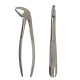Tooth extraction forceps MR-003, 1 pc.